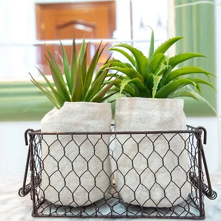 Appartamento Lar Da Revolta *