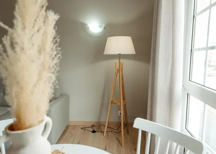 Lar Da Revolta Daire Cedeira