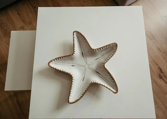 Lar Da Revolta Cedeira