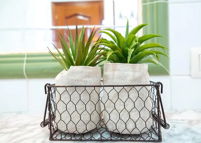 Daire Lar Da Revolta *